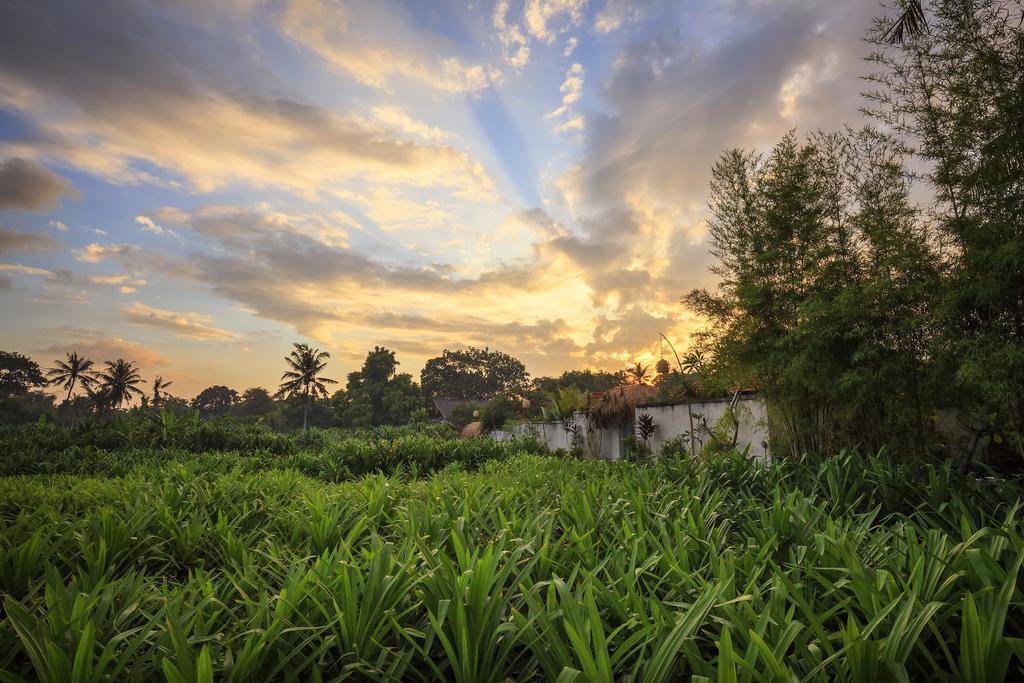 The Pandan Tree Villas Canggu Esterno foto