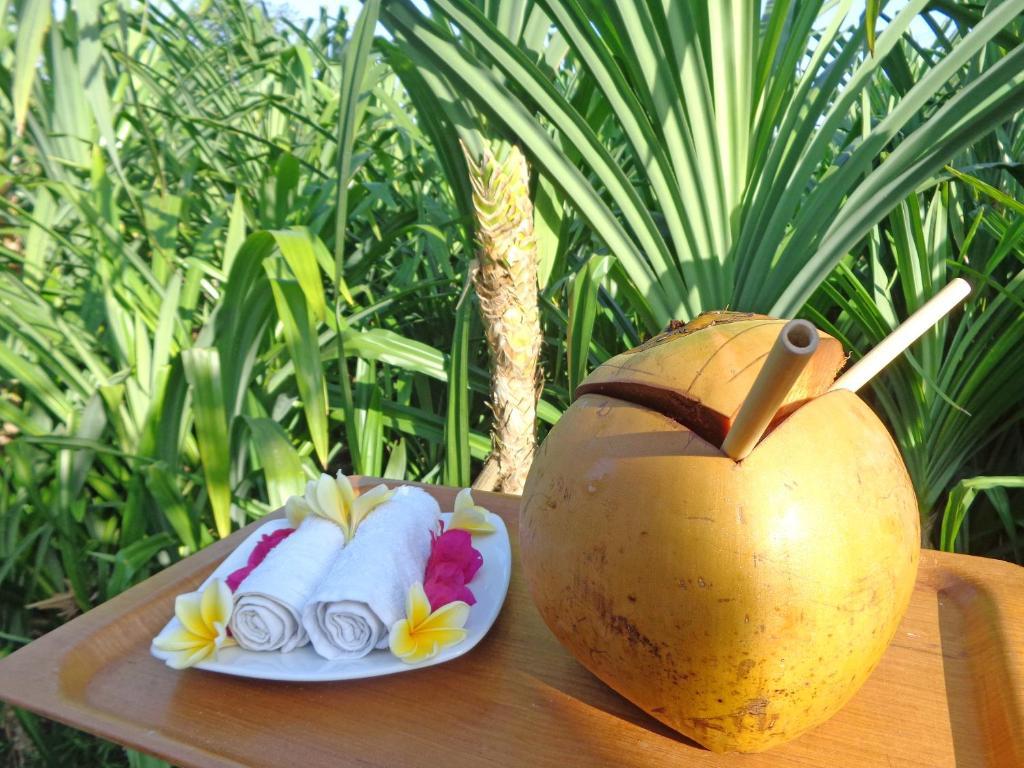 The Pandan Tree Villas Canggu Esterno foto